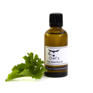 Pure Essential Oil - Rose Geranium - 50ml