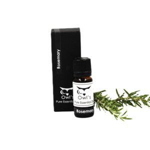 Pure Essential Oil - Rosemary - 10ml